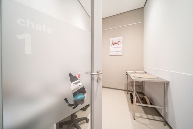 Salle de consultation pour chats