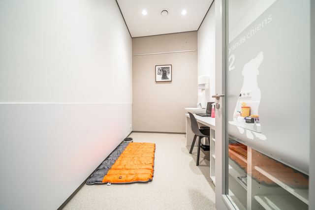 Salle de consultation pour grands chiens