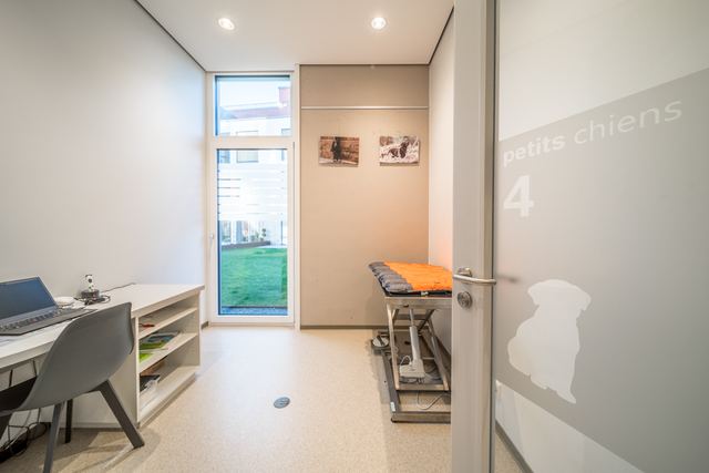 Salle de consultation pour petits chiens